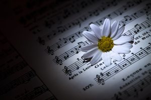 Flower Daisy Music Notes and Candle