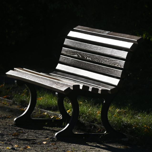 Eine hölzerne Parkbank mit gebogenen Metallbeinen steht auf einem Weg, der teilweise vom Sonnenlicht beleuchtet wird, während der Hintergrund dunkel und schattig bleibt. Ein paar verstreute Blätter sind auf dem Boden in der Nähe zu sehen.